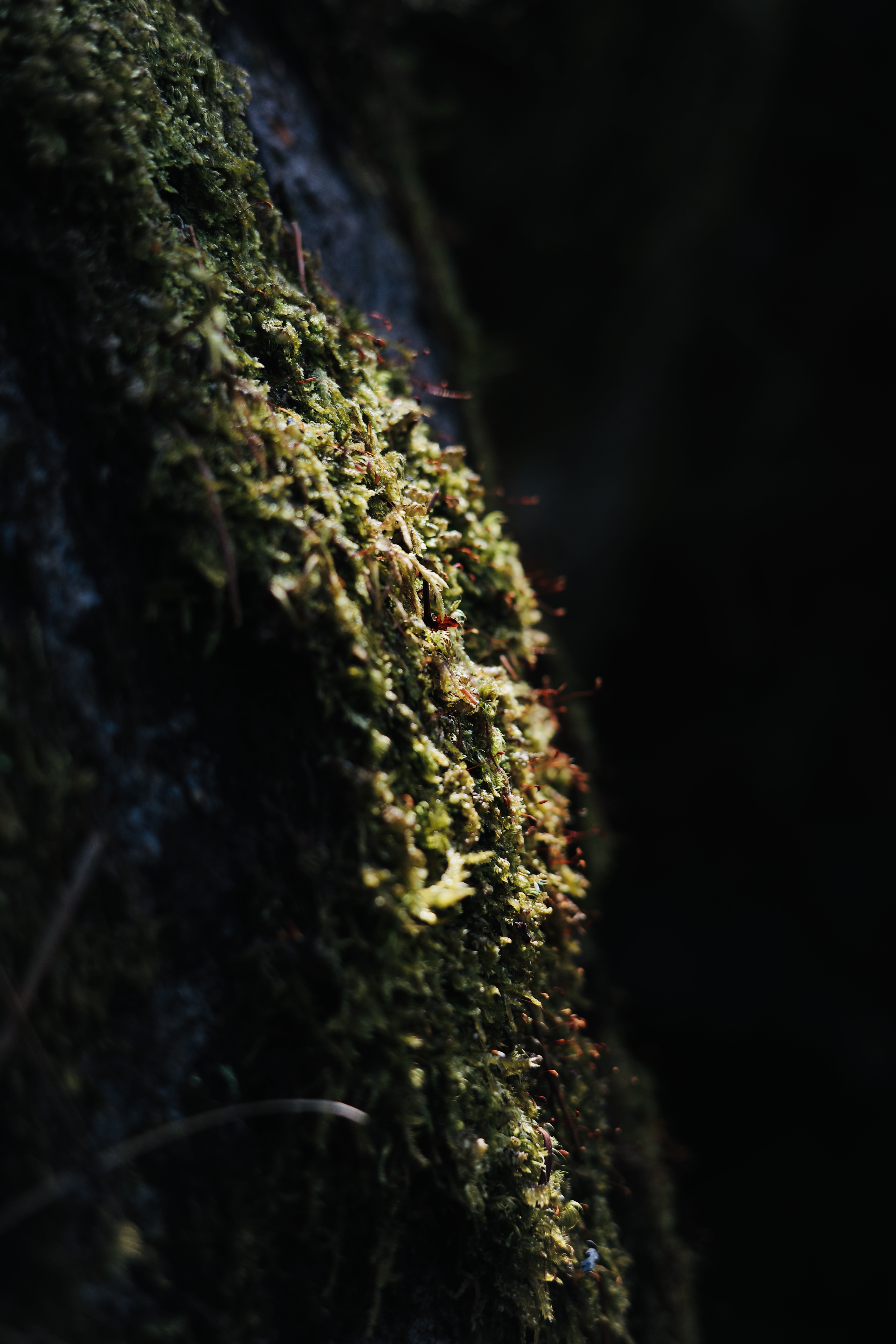 R0004570